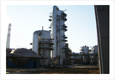 Shandong Luming Chemical Co., Ltd.